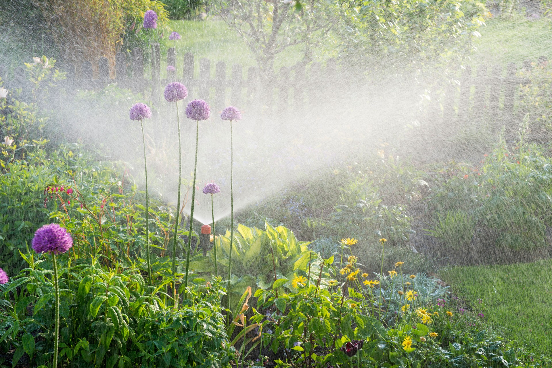 Irrigazione nel giardino fiorito